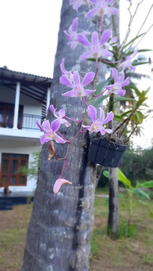 Mellow Villa แทนกาลเล ภายนอก รูปภาพ
